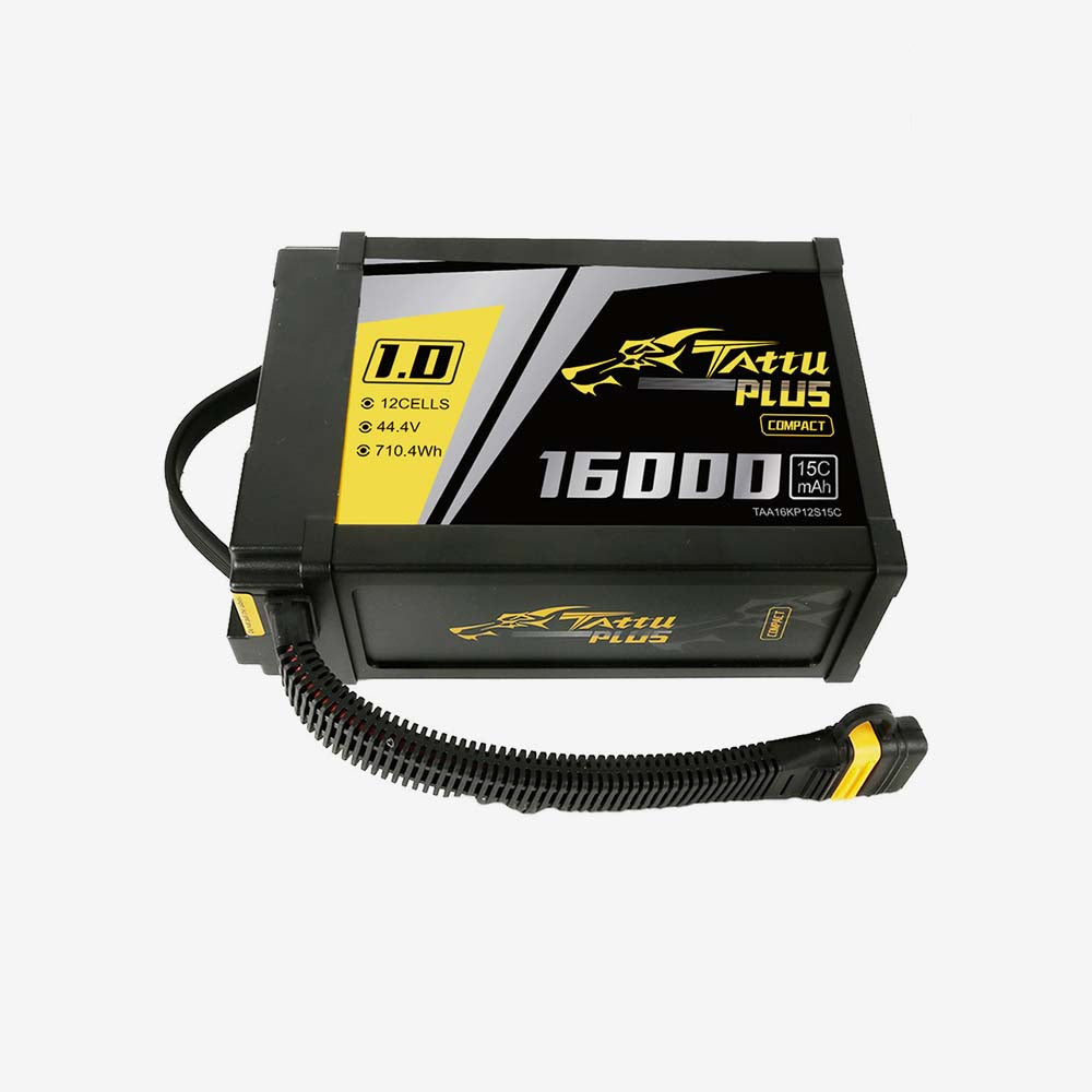 Alta X Gen2 12S Flight Battery (AS150U)